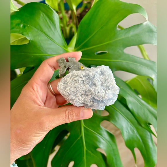 Fish Carving on Celestite - Picture 5 of 5